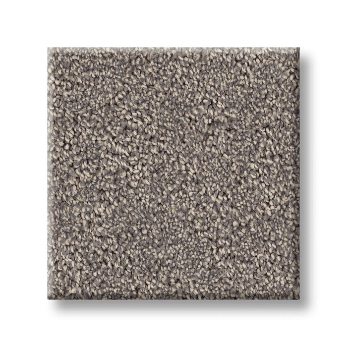 Pet Perfect Plus Secret Adventure Shadows 00524