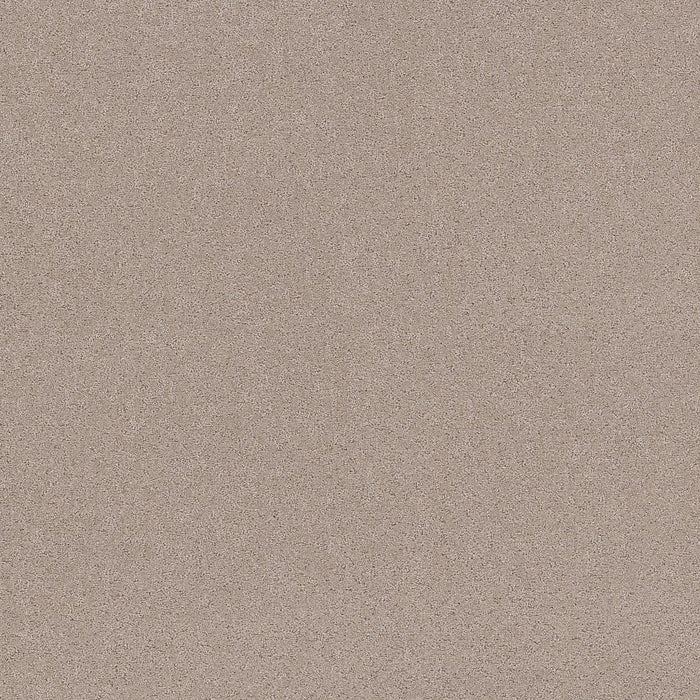 Pet Perfect Plus Secret Adventure Polyester Baja 00720
