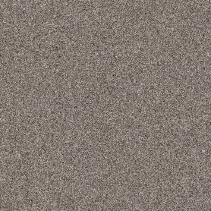 Pet Perfect Plus Secret Adventure Polyester Shadows 00524