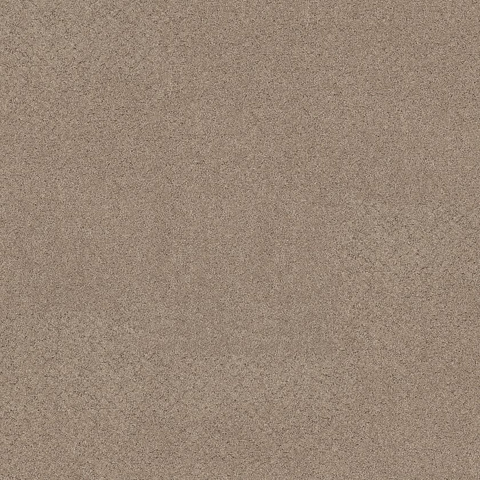 Pet Perfect Plus Secret Adventure Polyester Stonecrest 00123