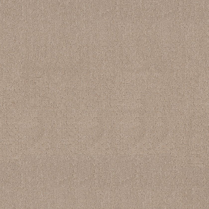 Pet Perfect Plus Secret Destination Polyester Baja 00720