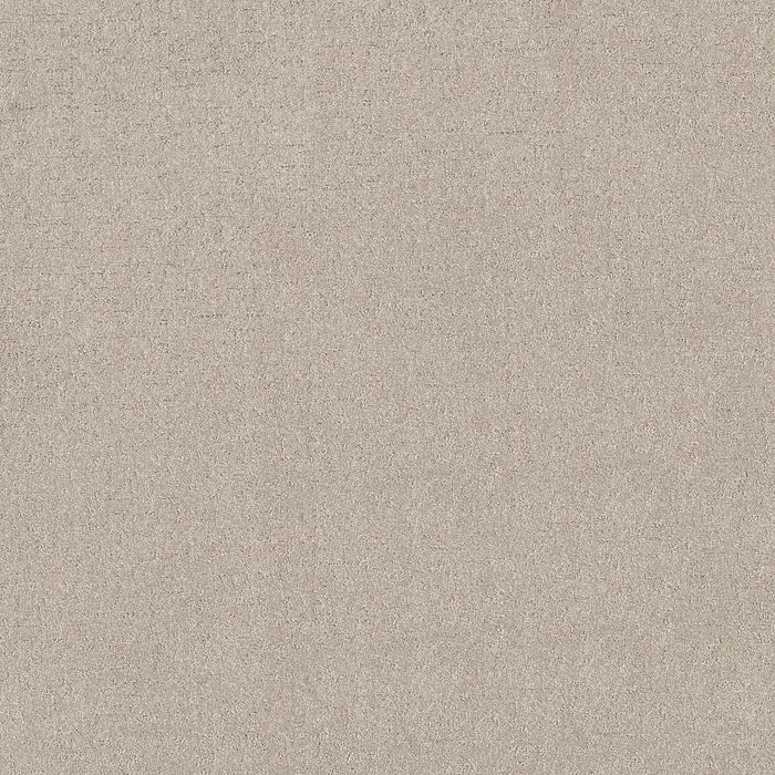 Pet Perfect Plus Secret Destination Polyester Beige Mist 00121