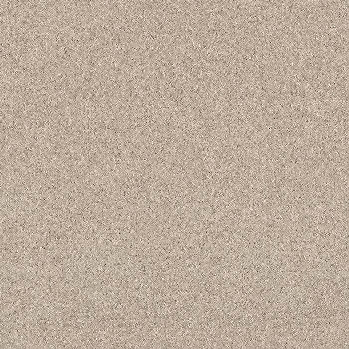 Pet Perfect Plus Secret Destination Polyester Cafe Latte 00122