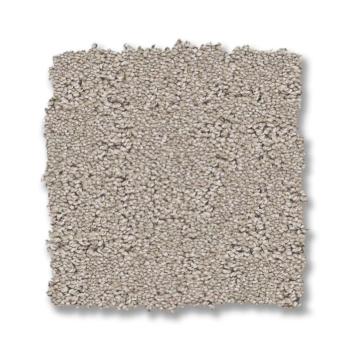 Pet Perfect Plus Secret Destination Chic Taupe 00124