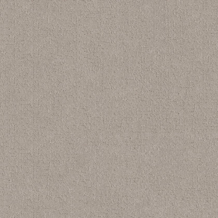 Pet Perfect Plus Secret Destination Polyester Chic Taupe 00124