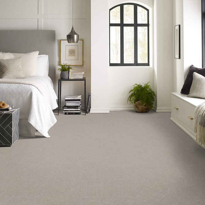 Pet Perfect Plus Secret Destination Chic Taupe Pattern 00124