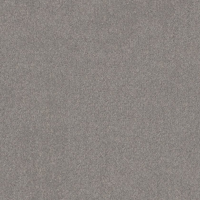 Pet Perfect Plus Secret Destination Polyester Graphic 00522