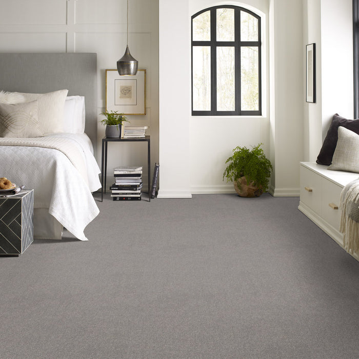 Pet Perfect Plus Secret Destination Graphic Pattern 00522