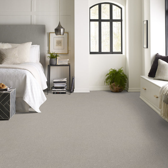 Pet Perfect Plus Secret Destination Hideaway Pattern 00722