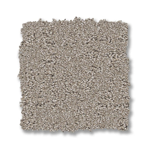 Pet Perfect Plus Secret Destination Marble 00523