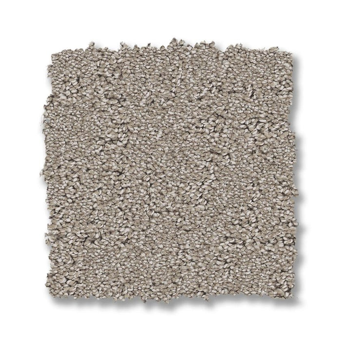 Pet Perfect Plus Secret Destination Marble 00523