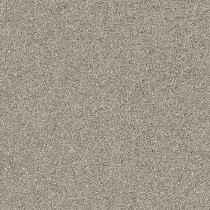 Pet Perfect Plus Secret Destination Polyester Marble 00523