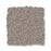 Pet Perfect Plus Secret Destination Mocha 00721