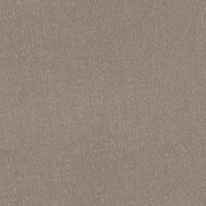 Pet Perfect Plus Secret Destination Polyester Mocha 00721