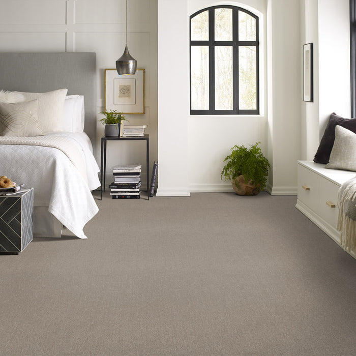 Pet Perfect Plus Secret Destination Mocha Pattern 00721