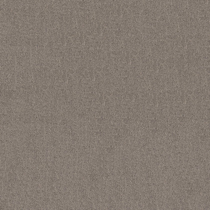 Pet Perfect Plus Secret Destination Polyester Shadows 00524