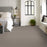 Pet Perfect Plus Secret Destination Shadows Pattern 00524