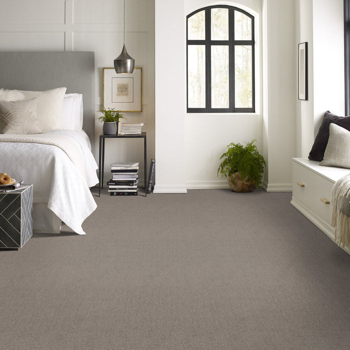 Pet Perfect Plus Secret Destination Shadows Pattern 00524