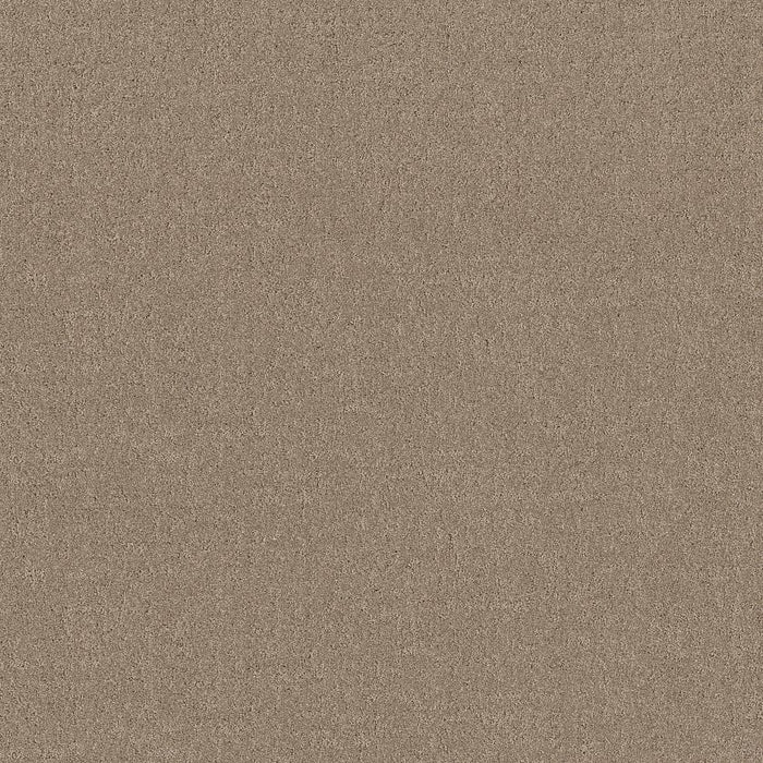 Pet Perfect Plus Secret Destination Polyester Stonecrest 00123