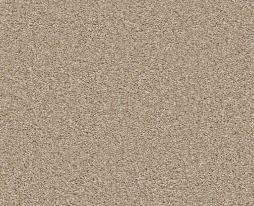 Trusolutions III Sheer Natural Polyester Carpet - Textured