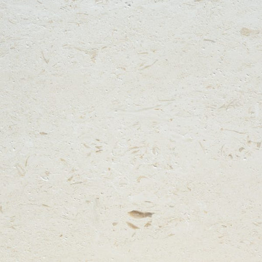Full Tile Sample - Ocean Reef Shellstone Limestone Tile - 12" x 12" x 2 CM Polished