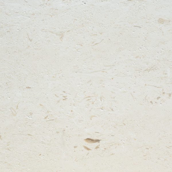 Full Tile Sample - Ocean Reef Shellstone Limestone Tile - 12" x 12" x 2 CM Polished