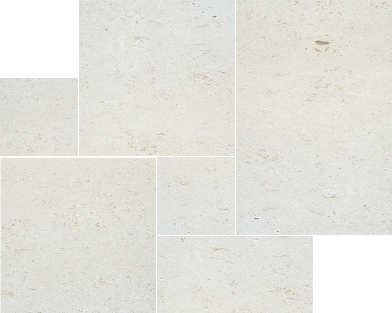 Ocean Reef Shellstone Limestone Pattern - Brushed & Chiseled