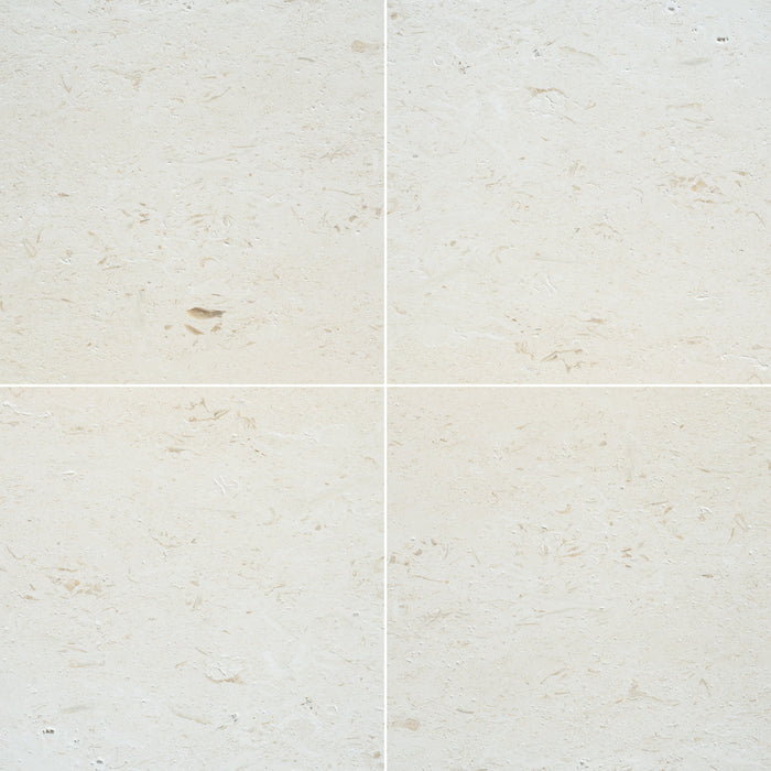 Ocean Reef Shellstone Limestone Polished Tile