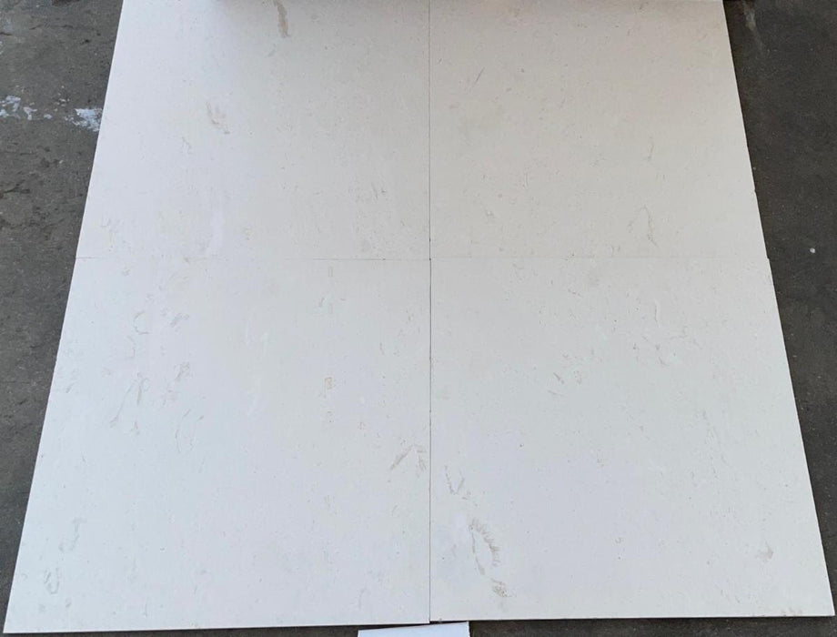 Shells Bianco Ivory Honed Shellstone Tile - 24" x 24" x 1/2" 2