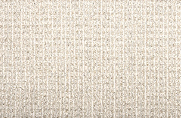 Sir Leon Solution Dyed Polyes Barley 10547 Carpet SIRLE Loop 1