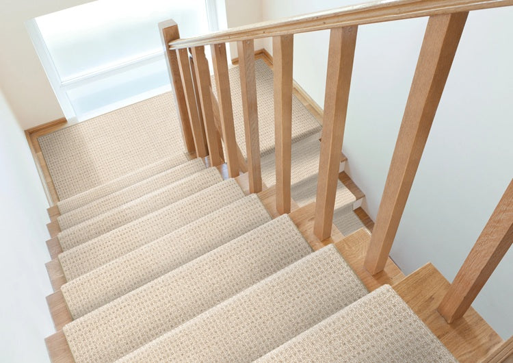 Sir Leon Solution Dyed Polyes Desert Sand 10541 Carpet SIRLE Loop 2