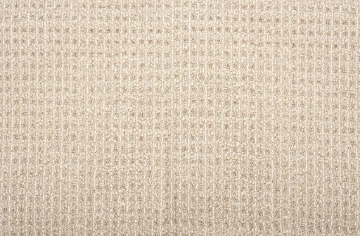 Sir Leon Solution Dyed Polyes Desert Sand 10541 Carpet SIRLE Loop 1