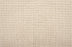 Sir Leon Solution Dyed Polyes Desert Sand 10541 Carpet SIRLE Loop 1