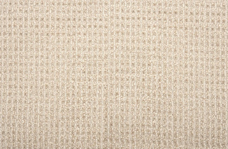 Sir Leon Solution Dyed Polyes Desert Sand 10541 Carpet SIRLE Loop 1