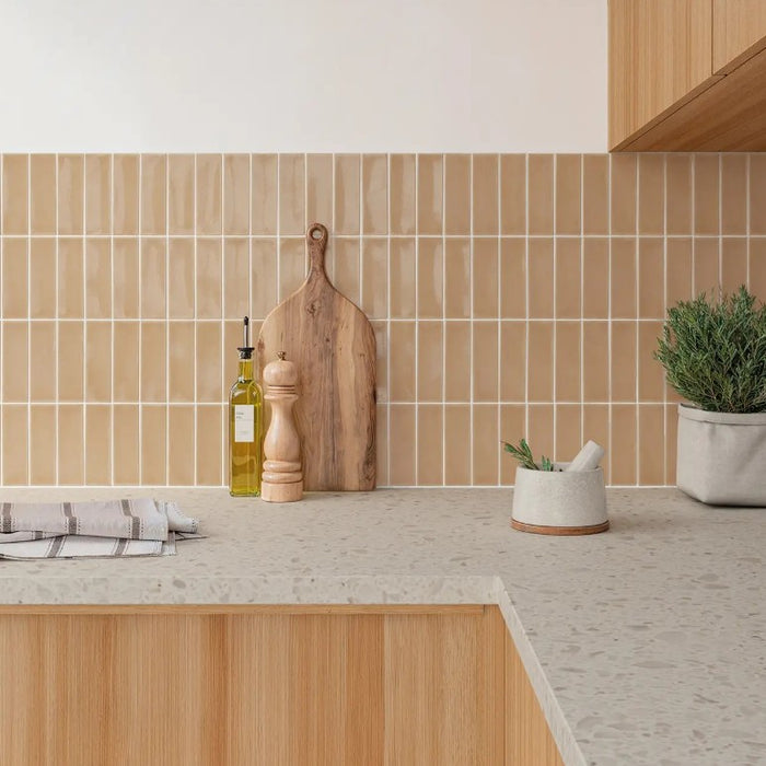 Skin Porcelain Biscuit Tile Glossy 2