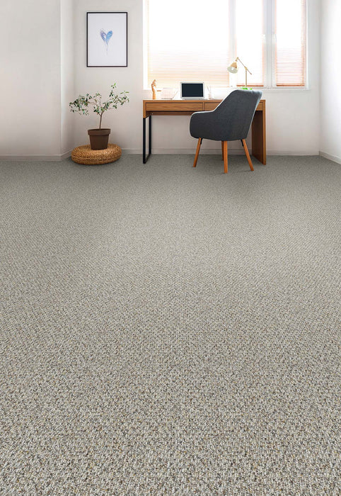 Skyfall Polyester Jazzy 4084 Carpet Loop 2
