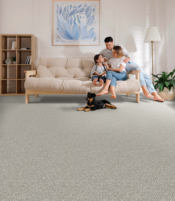 Skyfall Polyester Animated 4245 Carpet Loop 2
