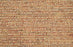 Solange Polypropylene Sunset 82013 Carpet Loop 1
