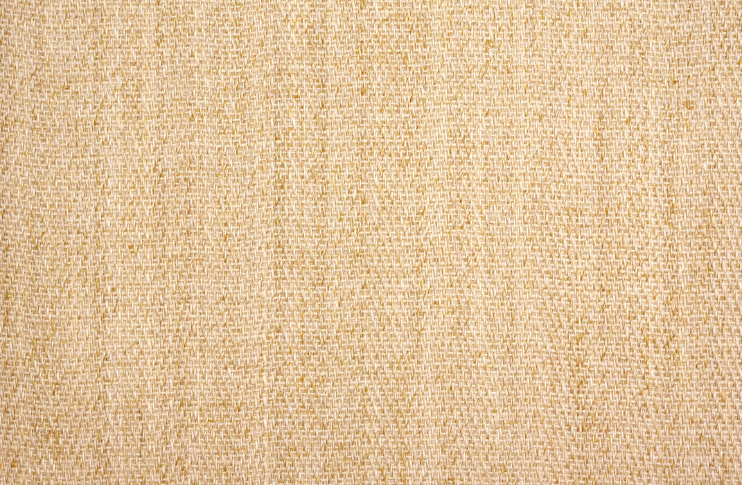 Sonoma Springs Sisal Antique 81992 Carpet Loop 1