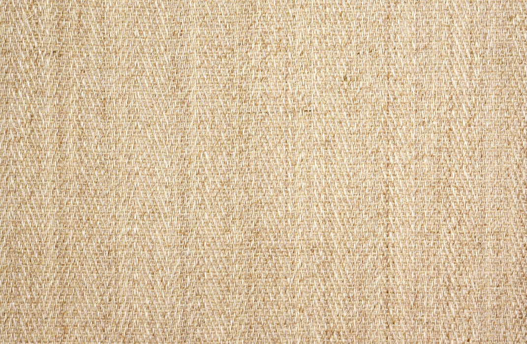 Sonoma Springs Sisal Blonde 81993 Carpet Loop 1