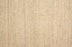Sonoma Springs Sisal Blonde 81993 Carpet Loop 1