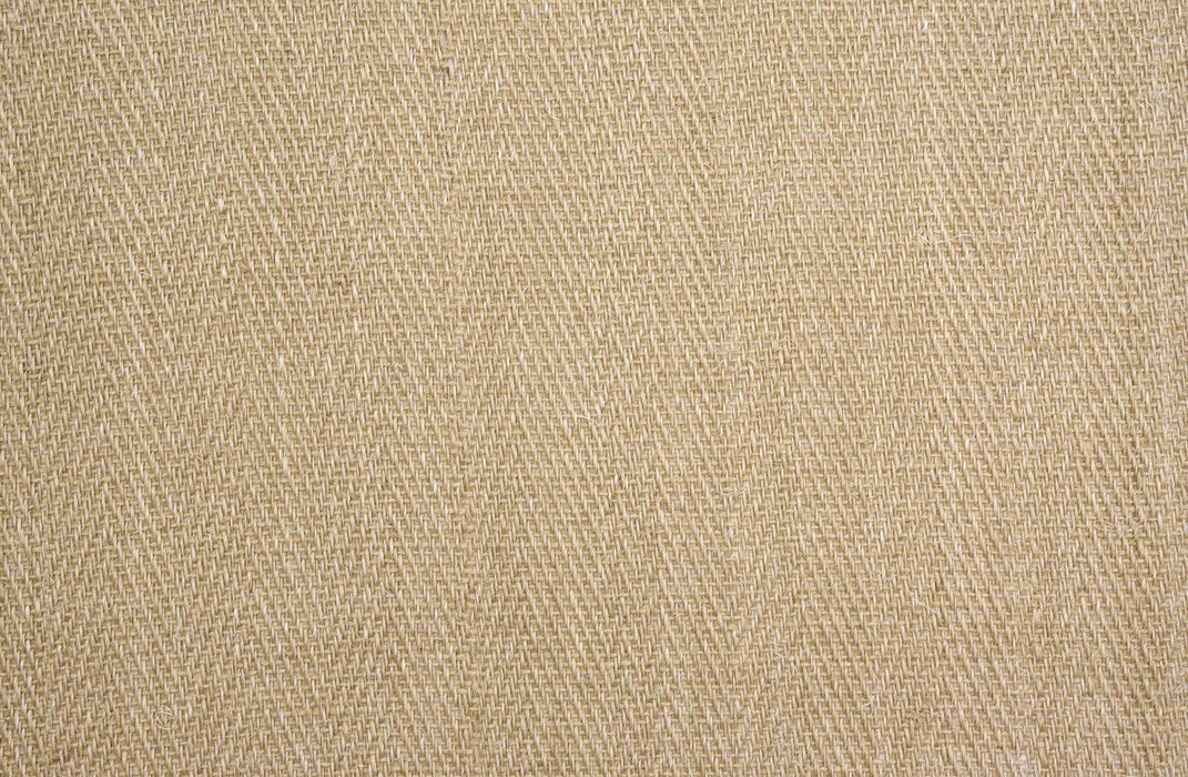 Sonoma Springs Sisal Oyster 81994 Carpet Loop 1