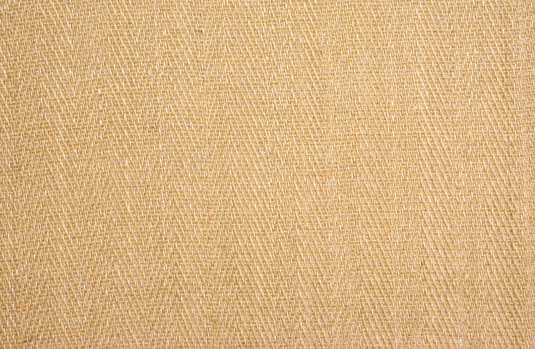 Sonoma Springs Sisal Straw 81996 Carpet Loop 1