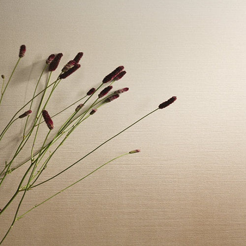 Spectra Horizon Ceramic Tile - Matte