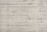 Splendour Smitten Nylon Platinum 73193 Carpet Textured 1