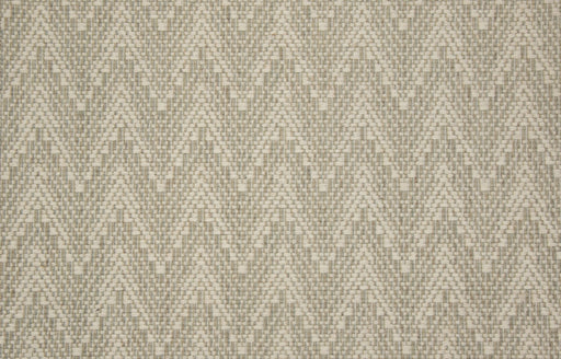 De Novo Origins Eucalyptus 