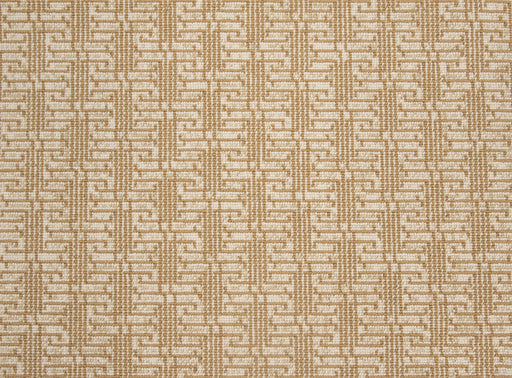 Paxton Paxton Paradox Suede 