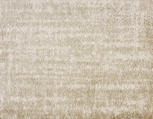 Vivo Spirited Canvas 