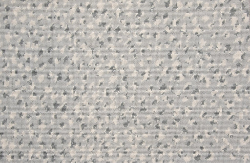 Paxton Paxton Cheetah Dove Grey