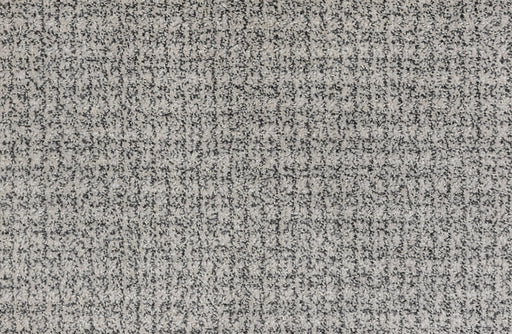 Pet Guard Troyes Graphite